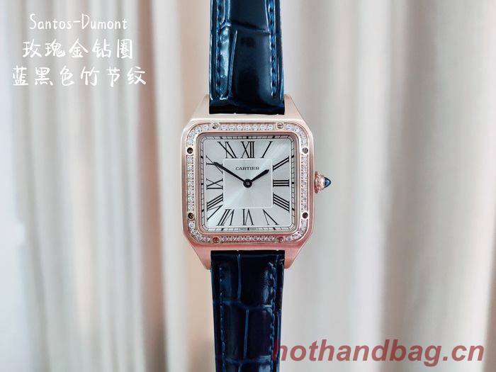 Cartier Watch CTW00234-2