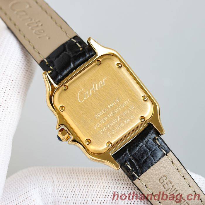 Cartier Watch CTW00258-1