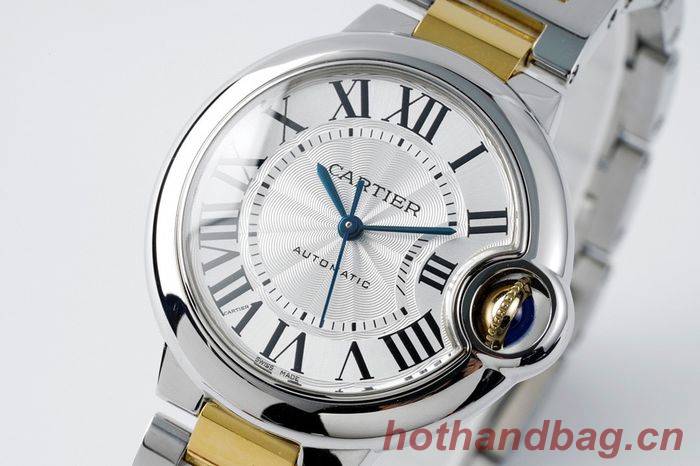 Cartier Watch CTW00313