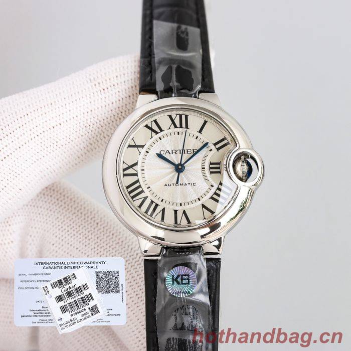 Cartier Watch CTW00315-4