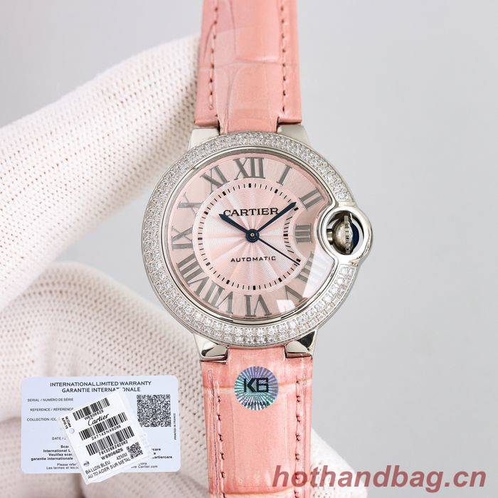 Cartier Watch CTW00315-6