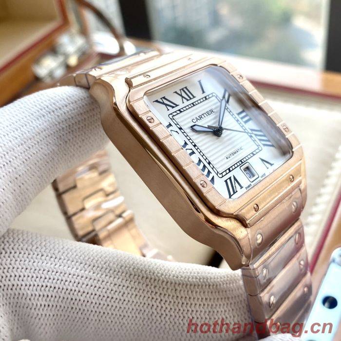Cartier Watch CTW00359-1
