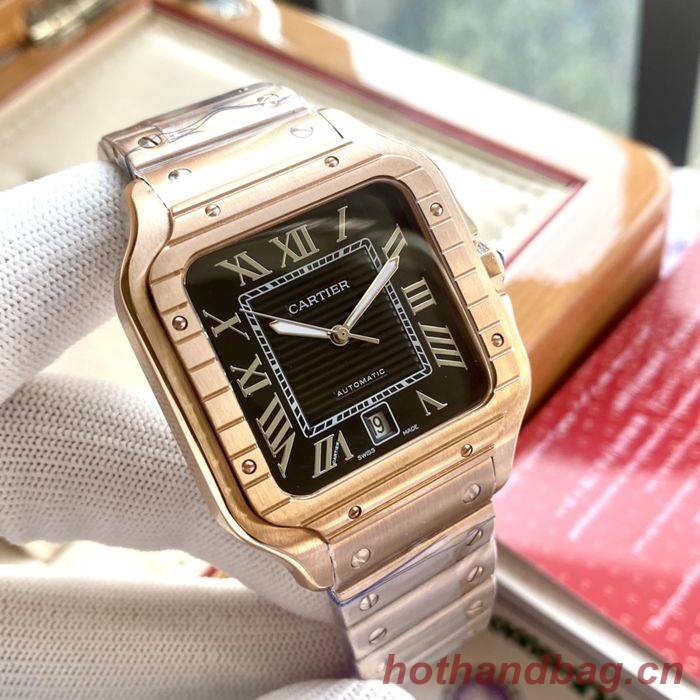 Cartier Watch CTW00359-3