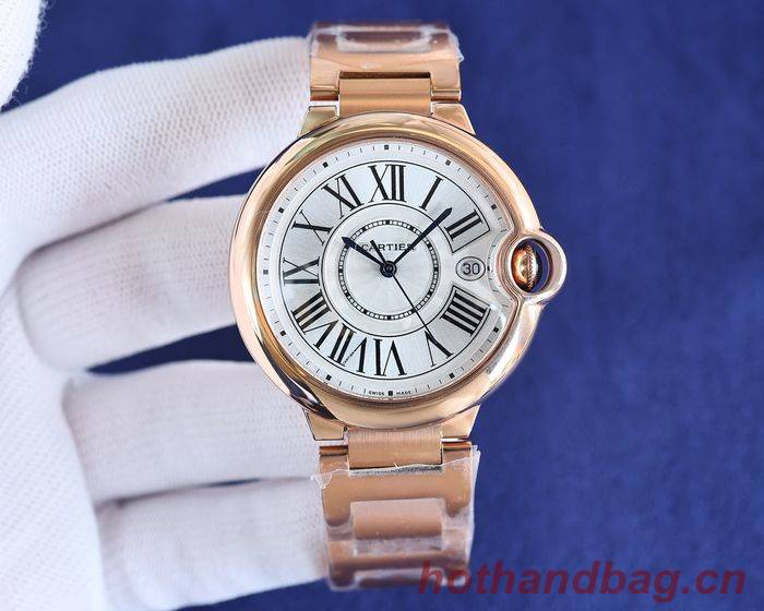 Cartier Watch CTW00423-3