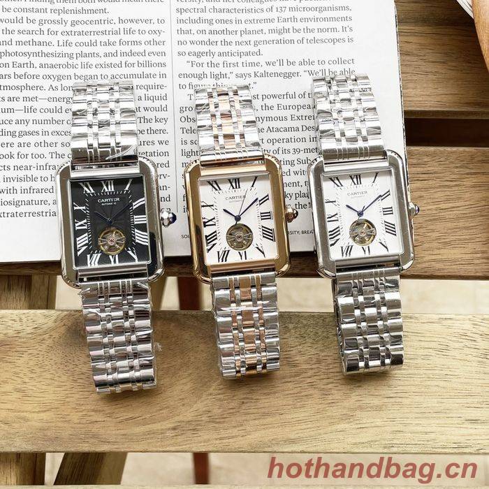 Cartier Watch CTW00455-1