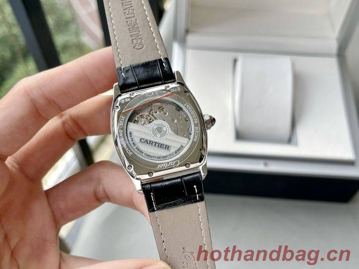 Cartier Watch CTW00460-1