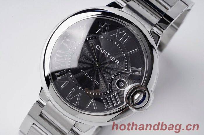 Cartier Watch CTW00484