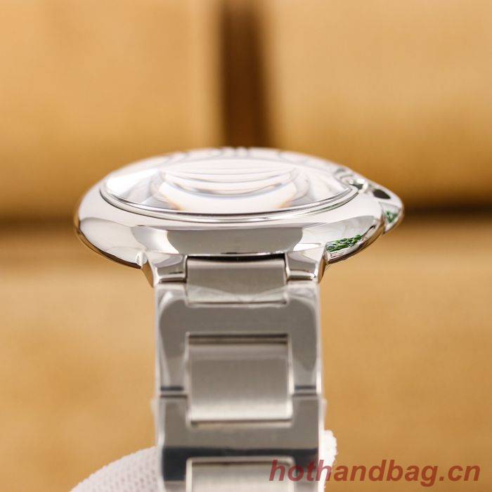 Cartier Watch CTW00501-1