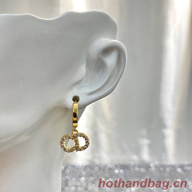 Dior Earrings CE11789