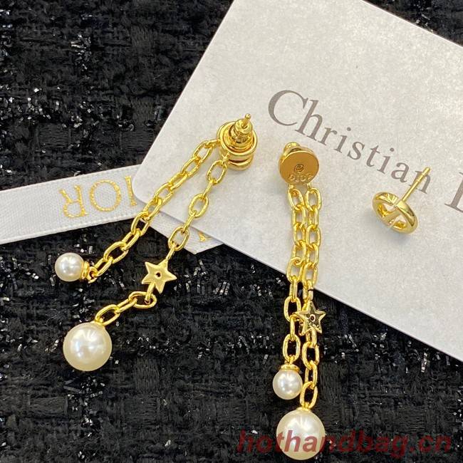 Dior Earrings CE11791