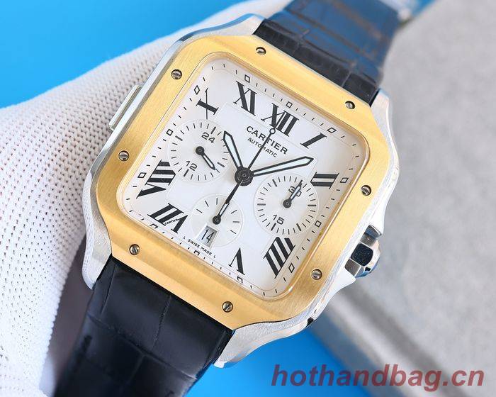 Cartier Watch CTW00517-1