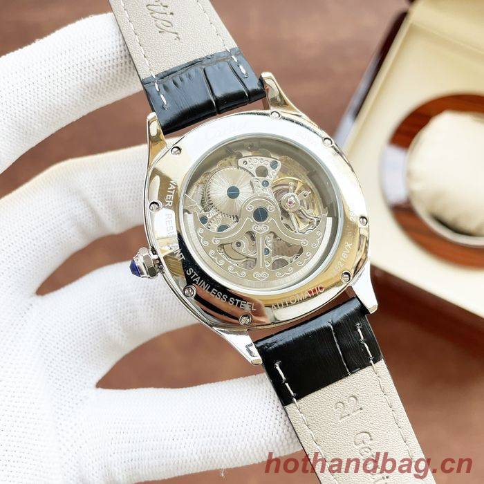 Cartier Watch CTW00527-1