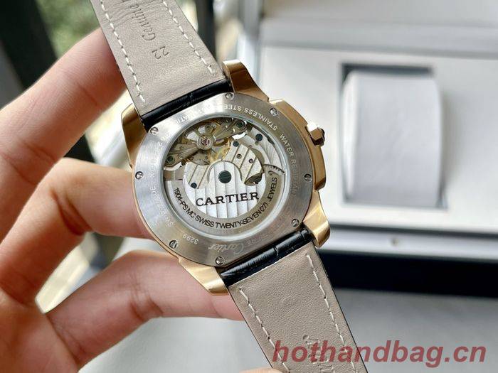 Cartier Watch CTW00553-1