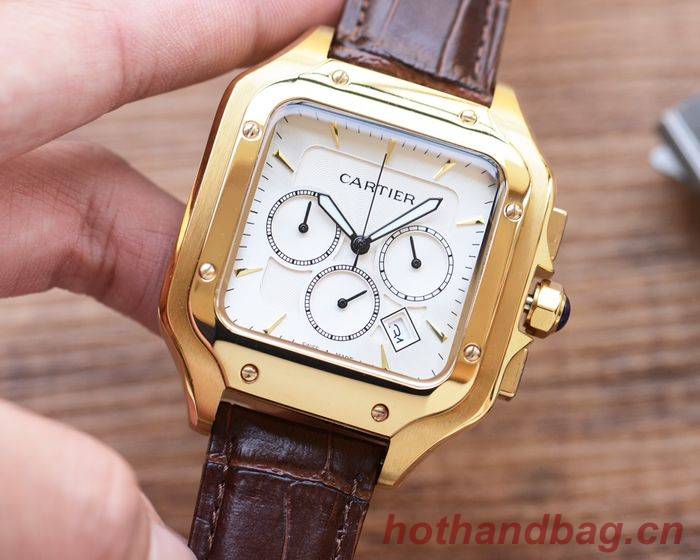 Cartier Watch CTW00600-1