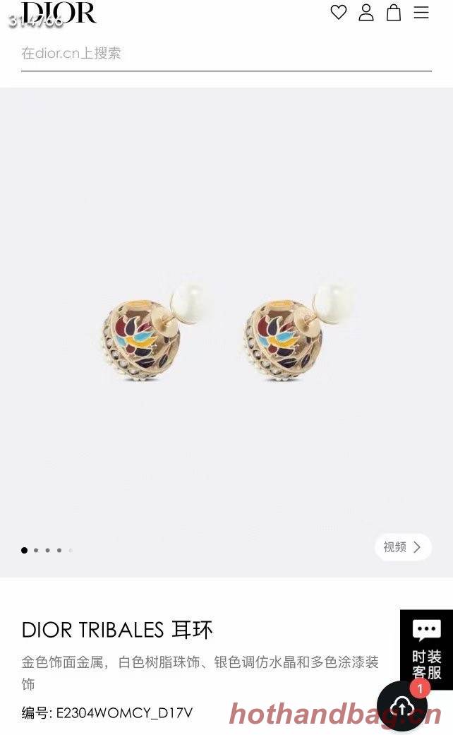 Dior Earrings CE11860