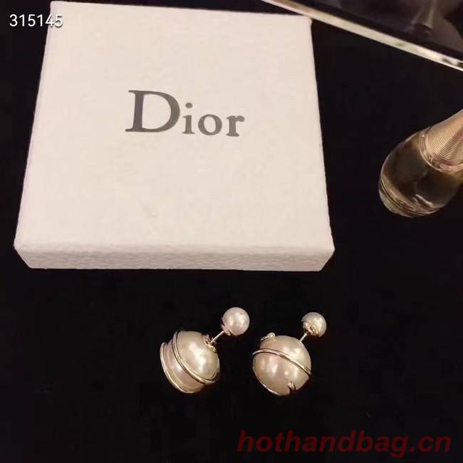 Dior Earrings CE11880