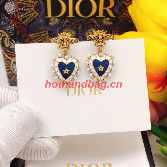 Dior Earrings CE11968