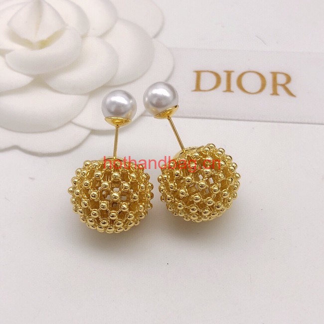 Dior Earrings CE12006