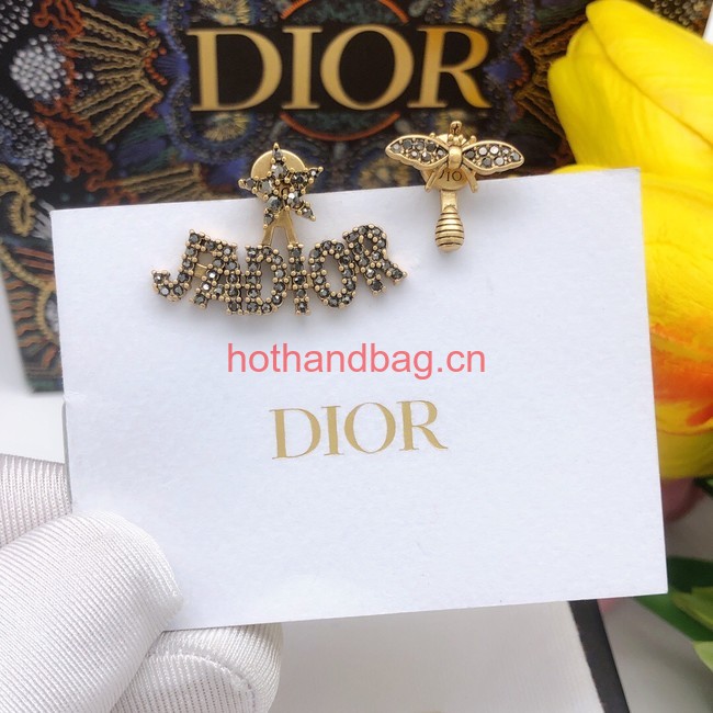 Dior Earrings CE12008