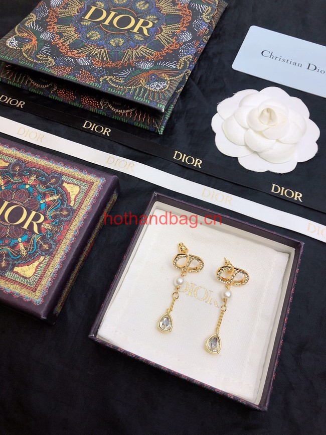 Dior Earrings CE12054