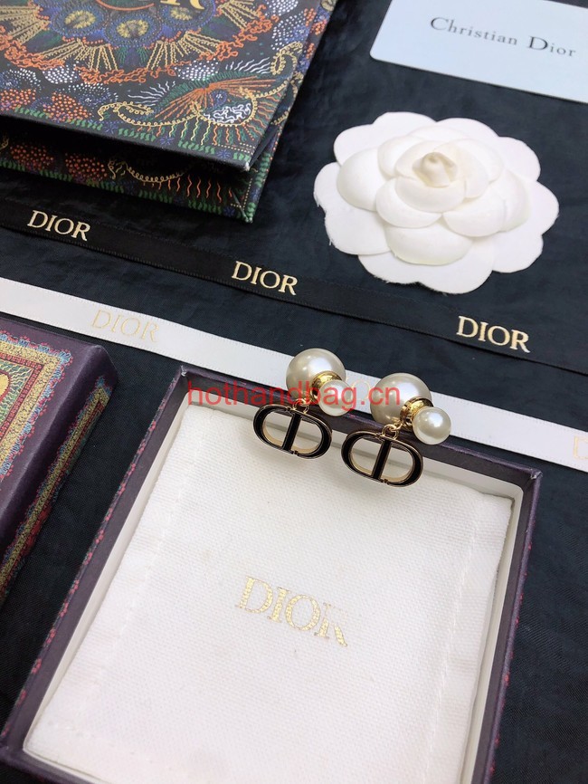 Dior Earrings CE12062