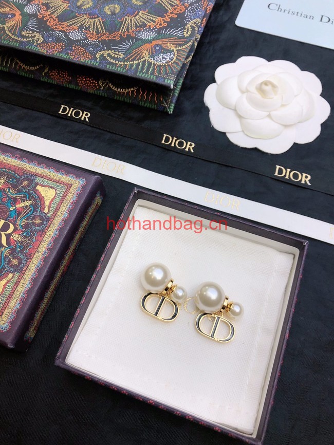 Dior Earrings CE12062