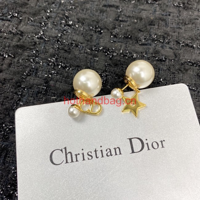 Dior Earrings CE12064