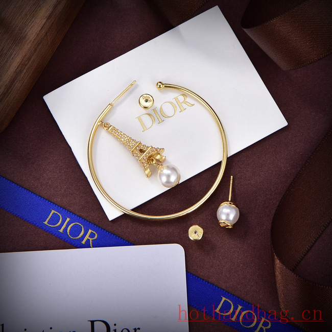 Dior Earrings CE12116