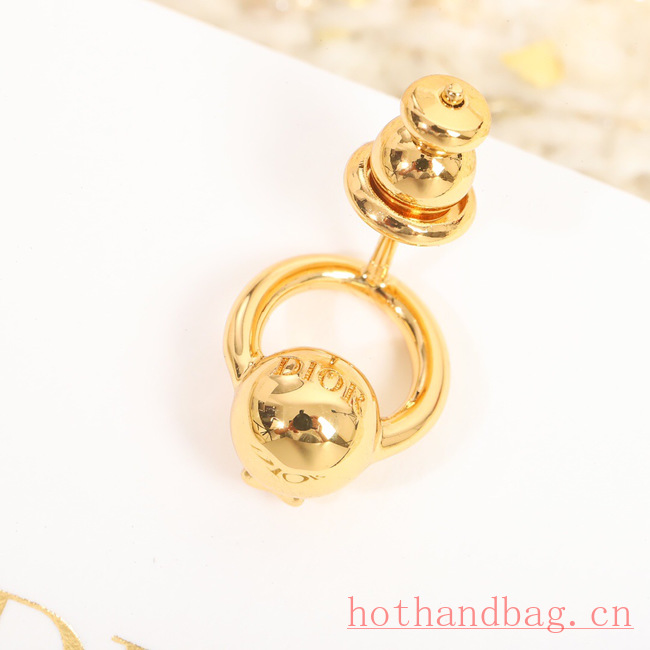 Dior Earrings CE12184