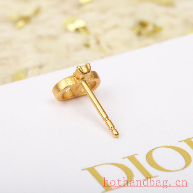 Dior Earrings CE12186