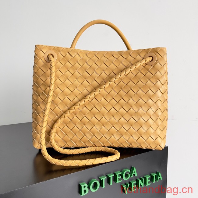 Bottega Veneta Medium Andiamo 743572 yellow