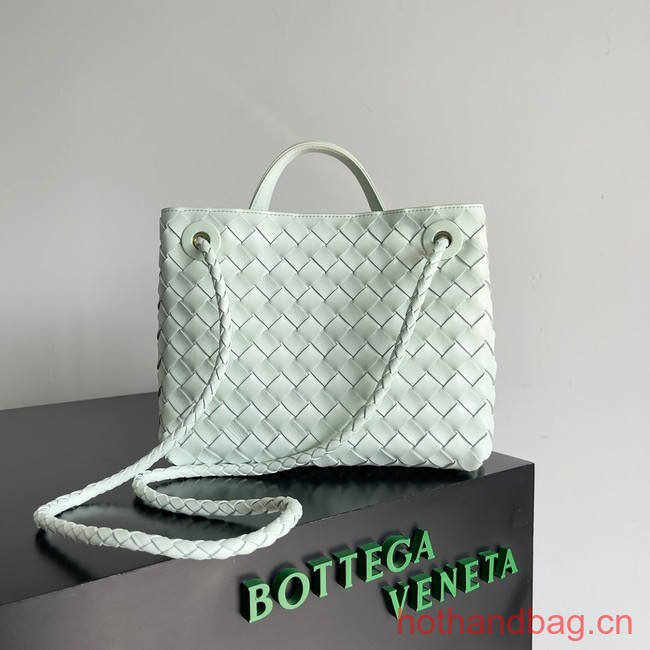 Bottega Veneta Small Andiamo 743568 Ice Green