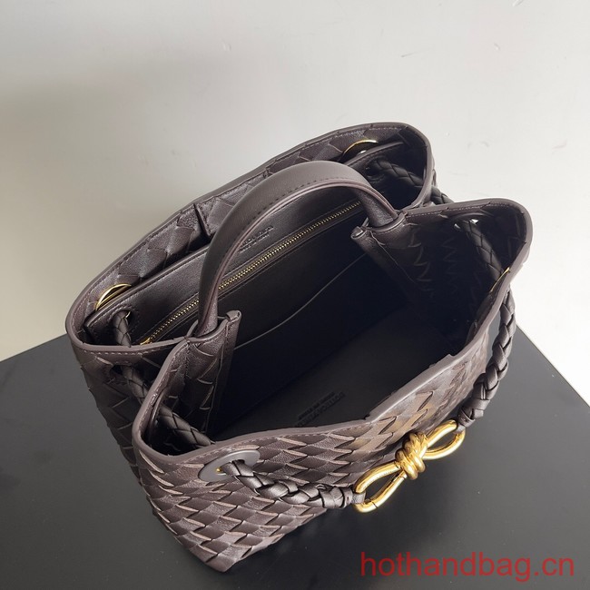 Bottega Veneta Small Andiamo 743568 Dark Brown