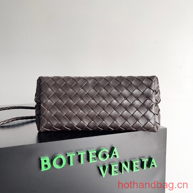 Bottega Veneta Small Andiamo 743568 Dark Brown