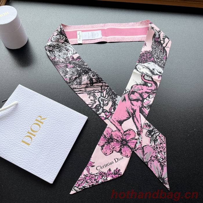 Dior Scarf DIC00153