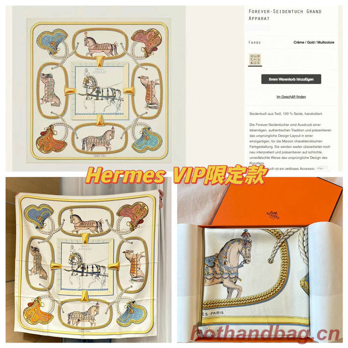 Hermes Scarf HEC00621