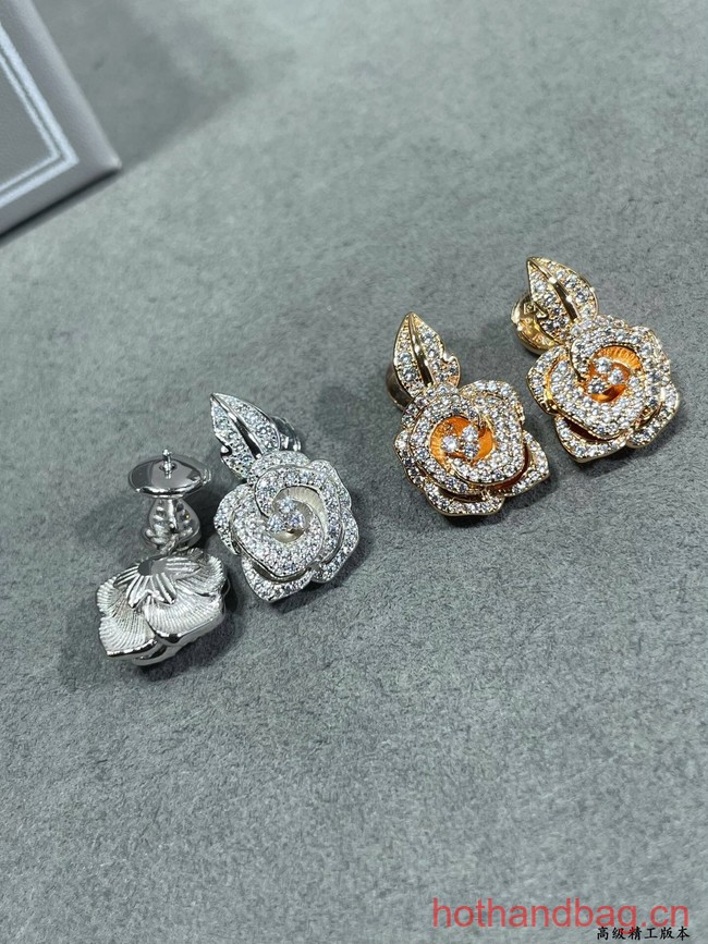 Dior Earrings CE12547