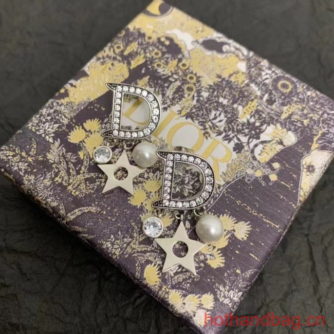 Dior Earrings CE12597