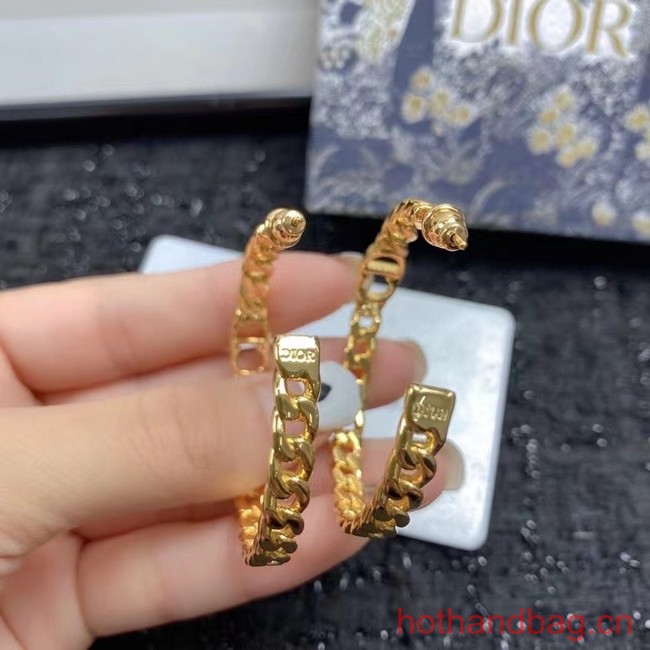 Dior Earrings CE12598