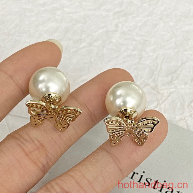 Dior Earrings CE12695