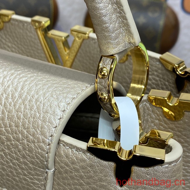 Louis Vuitton CAPUCINES BB N93164 gray