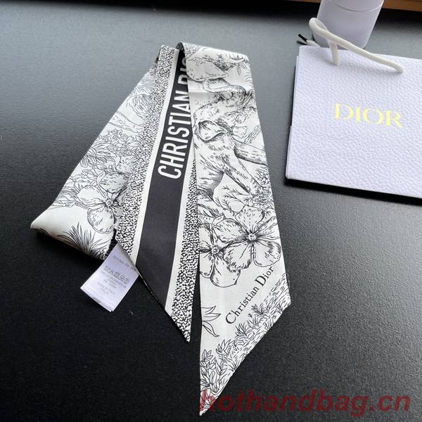 Dior Scarf DIC00213