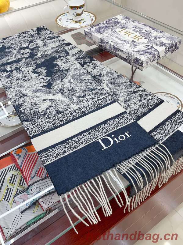 Dior Scarf DIC00217