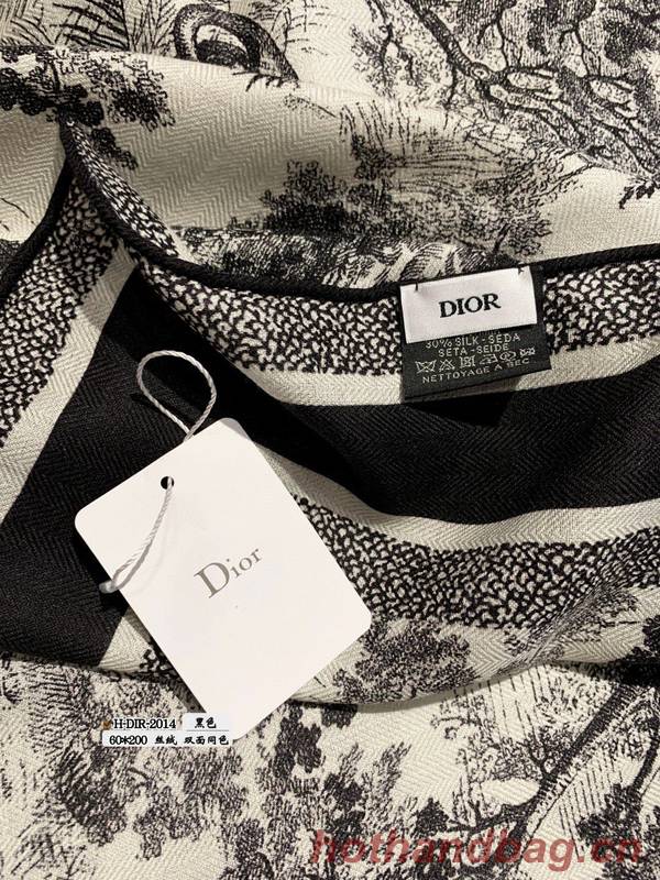 Dior Scarf DIC00246