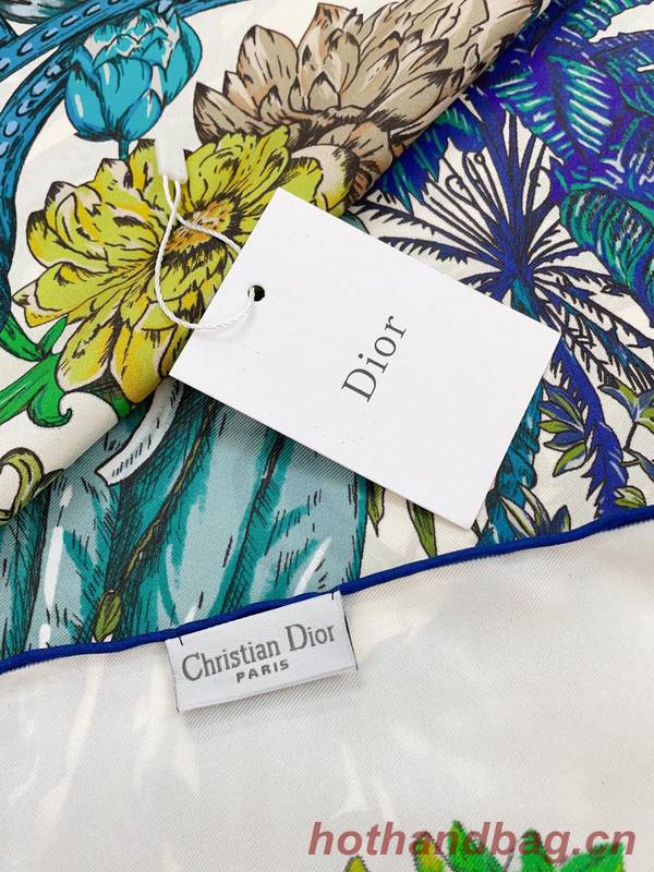 Dior Scarf DIC00256