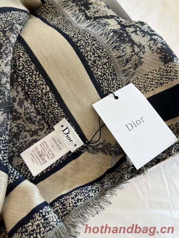 Dior Scarf DIC00327