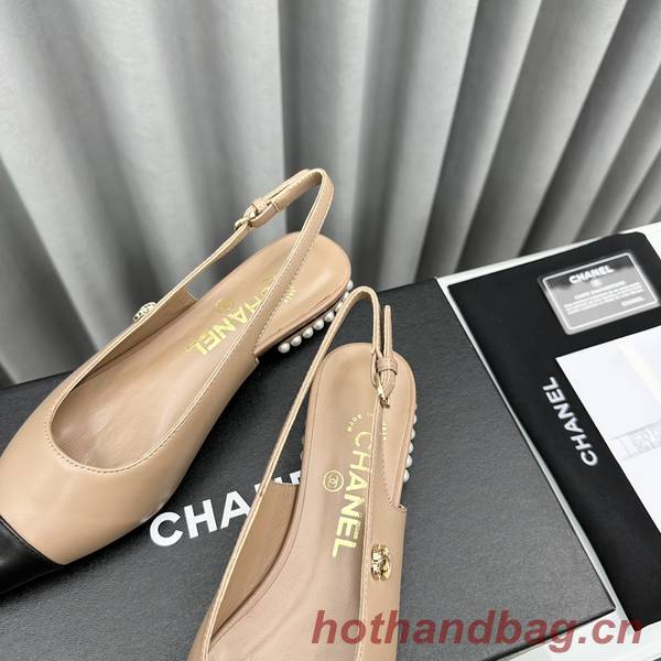 Chanel Shoes CHS01516