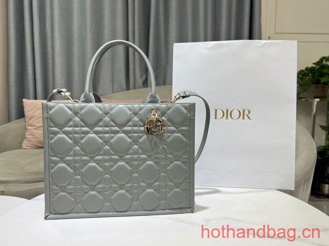 MEDIUM DIOR BOOK TOTE Calfskin M1296ZG gray