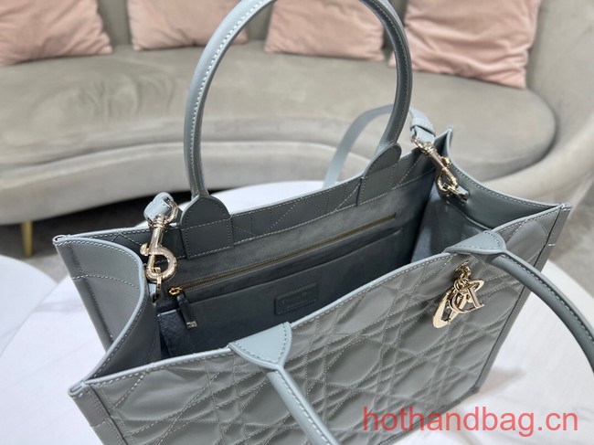 MEDIUM DIOR BOOK TOTE Calfskin M1296ZG gray