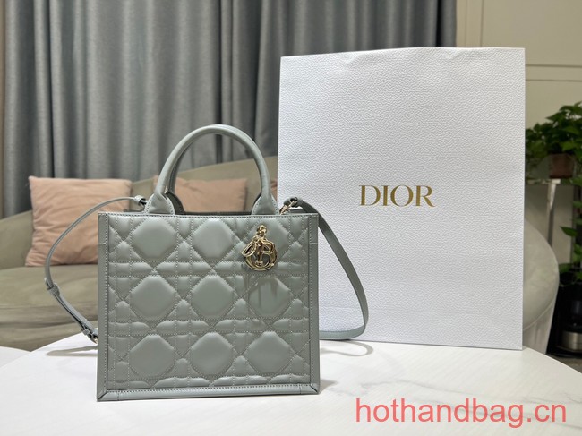 SMALL DIOR BOOK TOTE Calfskin M1295ZG gray